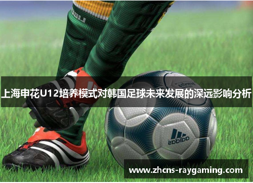 上海申花U12培养模式对韩国足球未来发展的深远影响分析