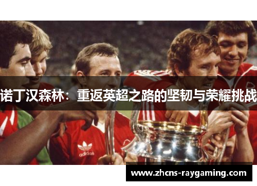 诺丁汉森林:重返英超之路的坚韧与荣耀挑战 诺丁汉森林:重返英超之路的坚韧与荣耀挑战