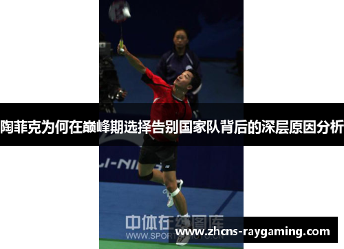 陶菲克为何在巅峰期选择告别国家队背后的深层原因分析 陶菲克为何在巅峰期选择告别国家队背后的深层原因分析